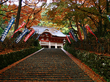 鰐淵寺