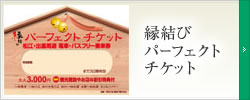 3日間有効で山陰観光自由自在!「縁結びパーフェクトチケット」