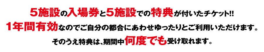 ぐるっと出雲路 ご縁PASS